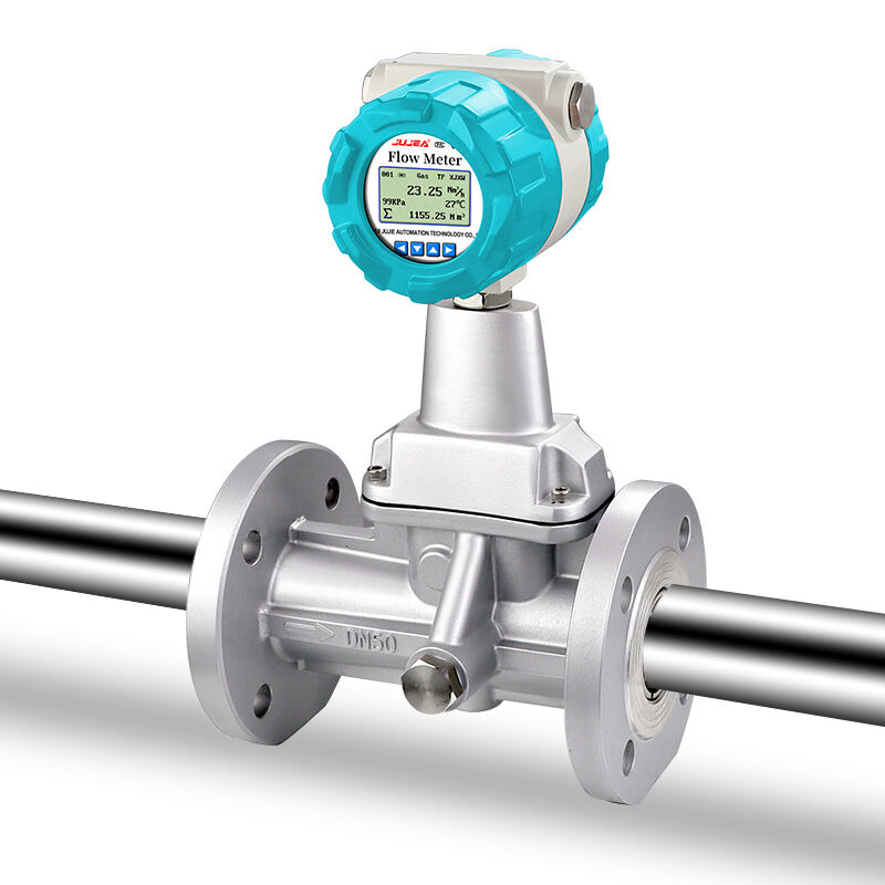 Precession Vortex Flow Meter